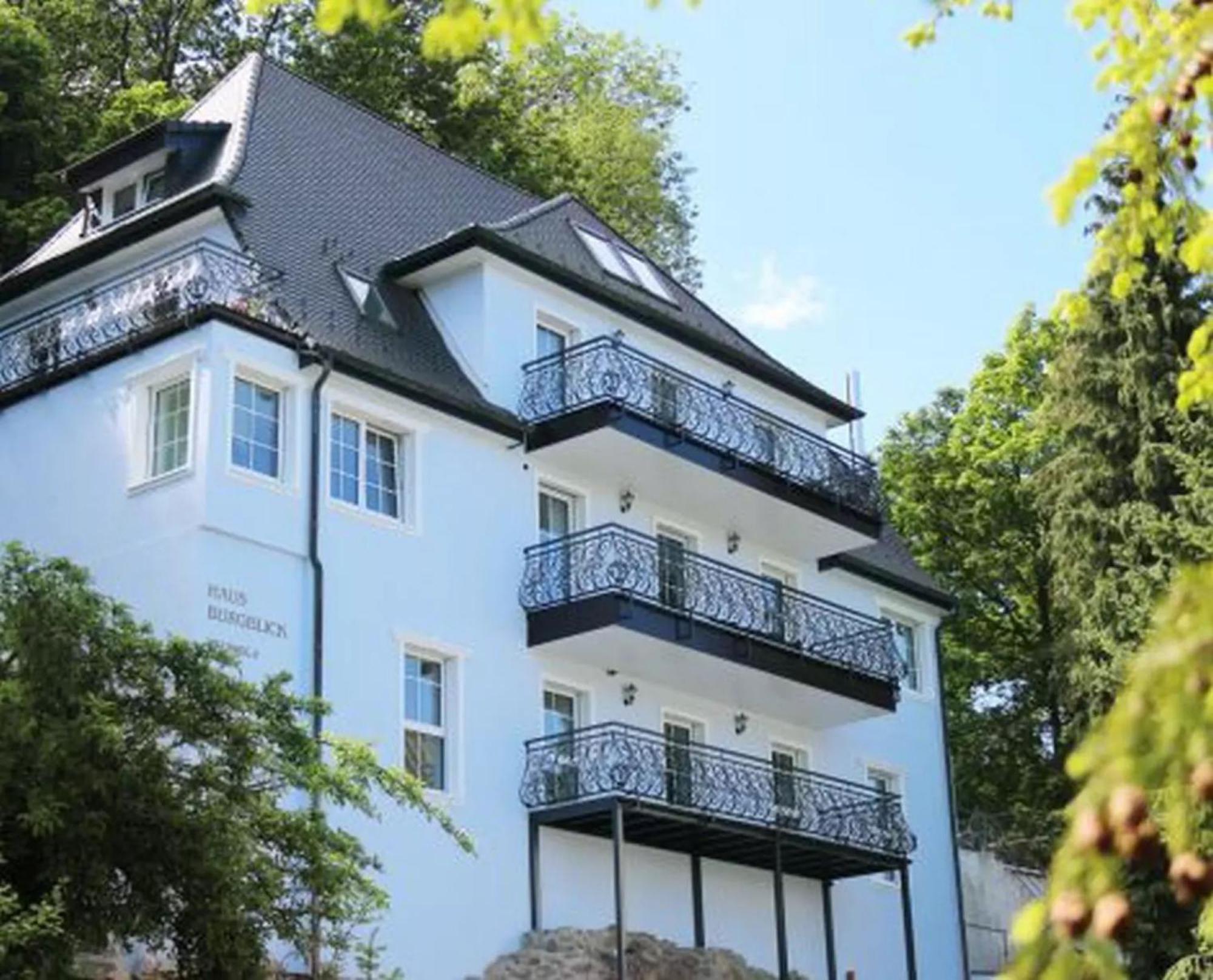 דירות באדנוויילר Haus Burgblick מראה חיצוני תמונה